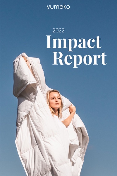 Yumeko Impact Report 2021