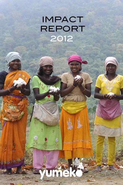 Impact Report 2012