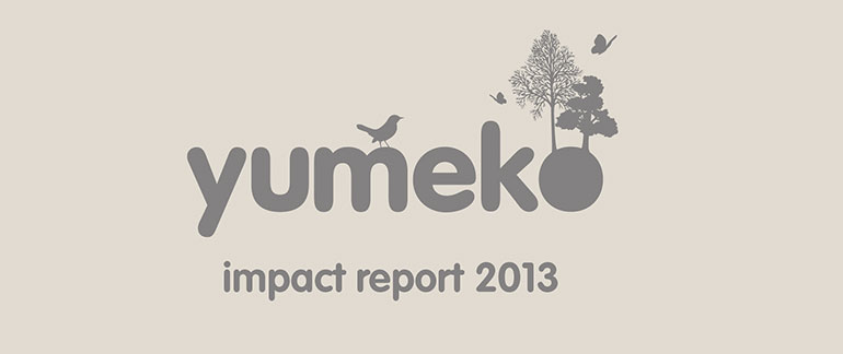 Yumeko Impact report 2013